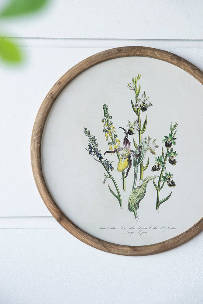 S/4 D19.7" Flora Print Round Frame image 12