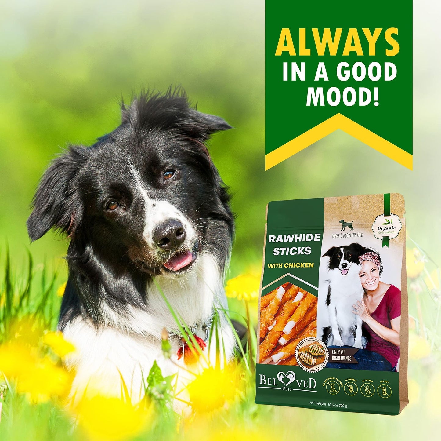 Dog Sticks Wrapped with Chicken & Pet Natural Chew Treats Grain Free Organic Meat & Human Grade Dried Snacks in Bulk for image 7
