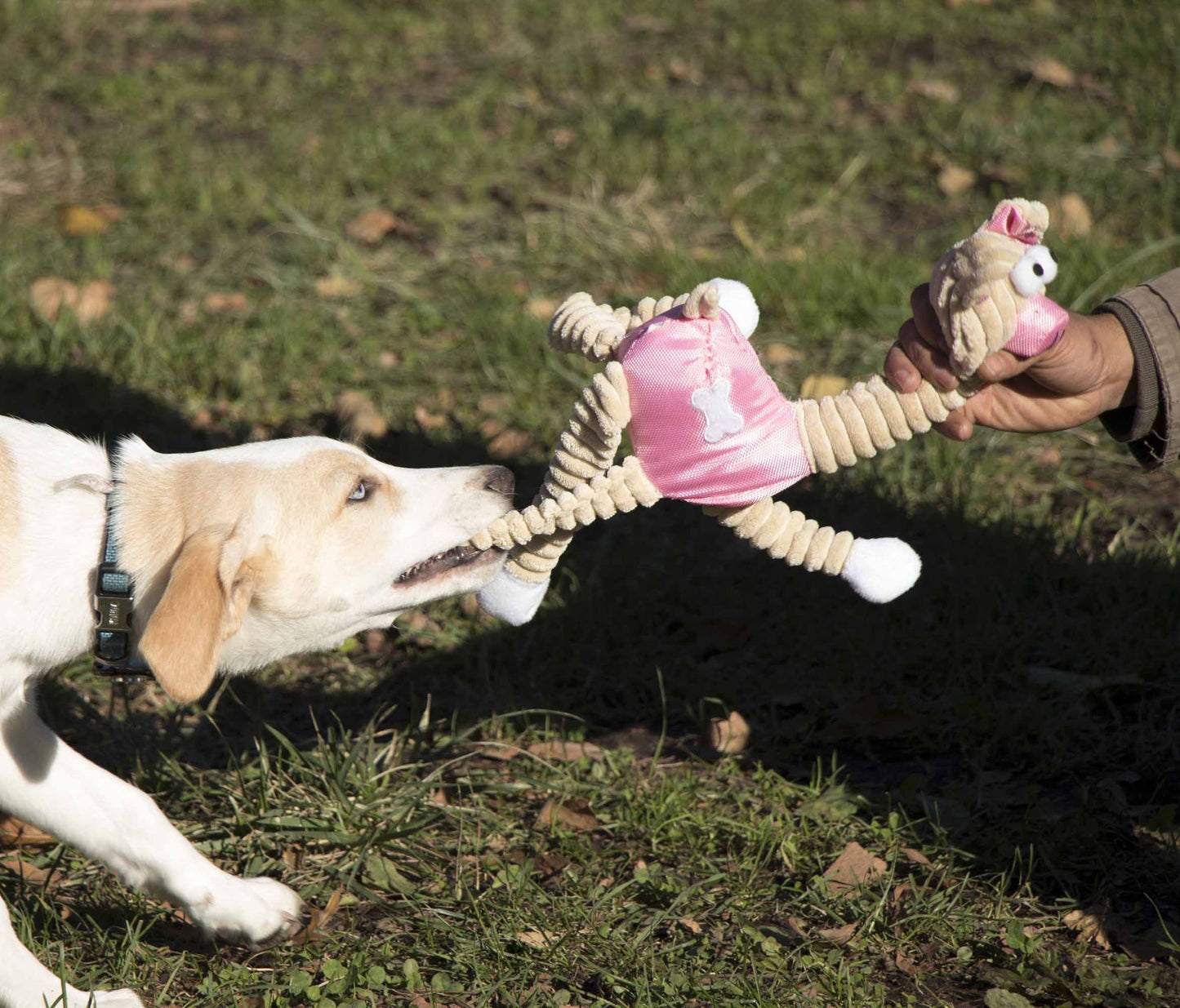 Jute And Rope Giraffe - Pig Pet Toy image 3
