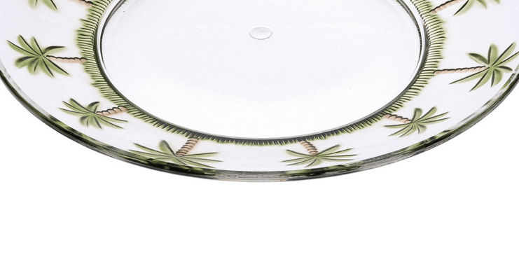 Palm Tree Design 9" Acrylic Dinner Plates Set of 4, Crystal Clear Plastic Plates Reusable, Unbreakable Kitchen Plates fo image 5