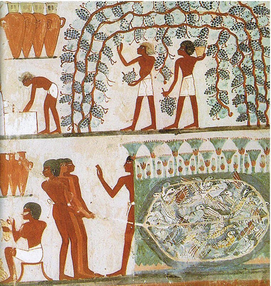 What Did the Ancient Egyptians Eat?