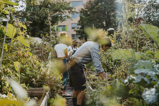 📢 Start a Community Garden: Tips for Everyone to Use