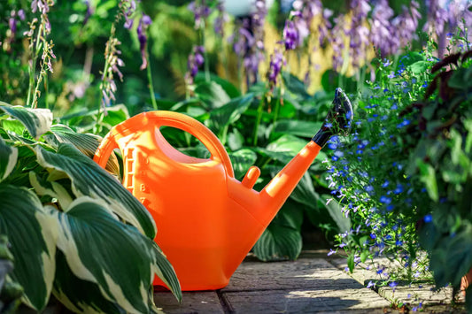 📢 Gardening Mistakes That Damage Your Plants – Essential Tips for Thriving Gardens and Healthy Growth