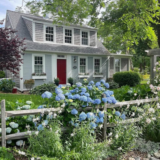 Charming Home Exterior Ideas – Inspiring Curb Appeal from Sunday Strolls & Neighborhood Designs