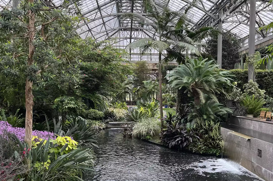 Martha Stewart's Visit to Longwood Gardens – Explore Stunning Plants, Orchids & Greenhouse Innovations
