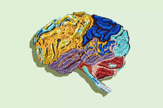Understanding Cognitive Decline with Age: Key Insights on Lifestyle, Aging & Brain Health