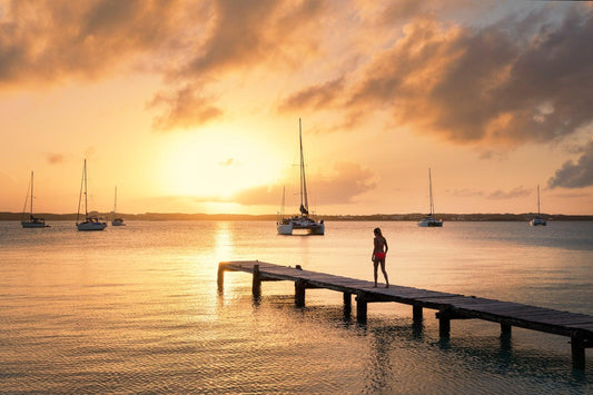 Affordable Holiday Theme Cruises – Budget-Friendly Celebrations at Sea
