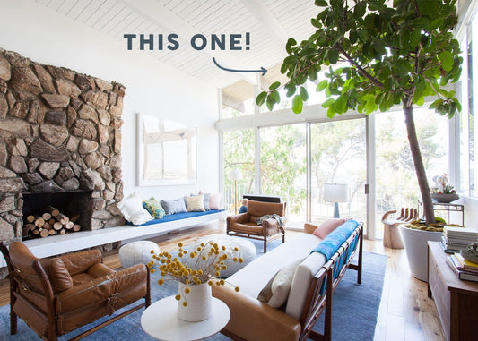 My Biggest Design Regret: A Cautionary Tale of Caring for a Ficus Tree