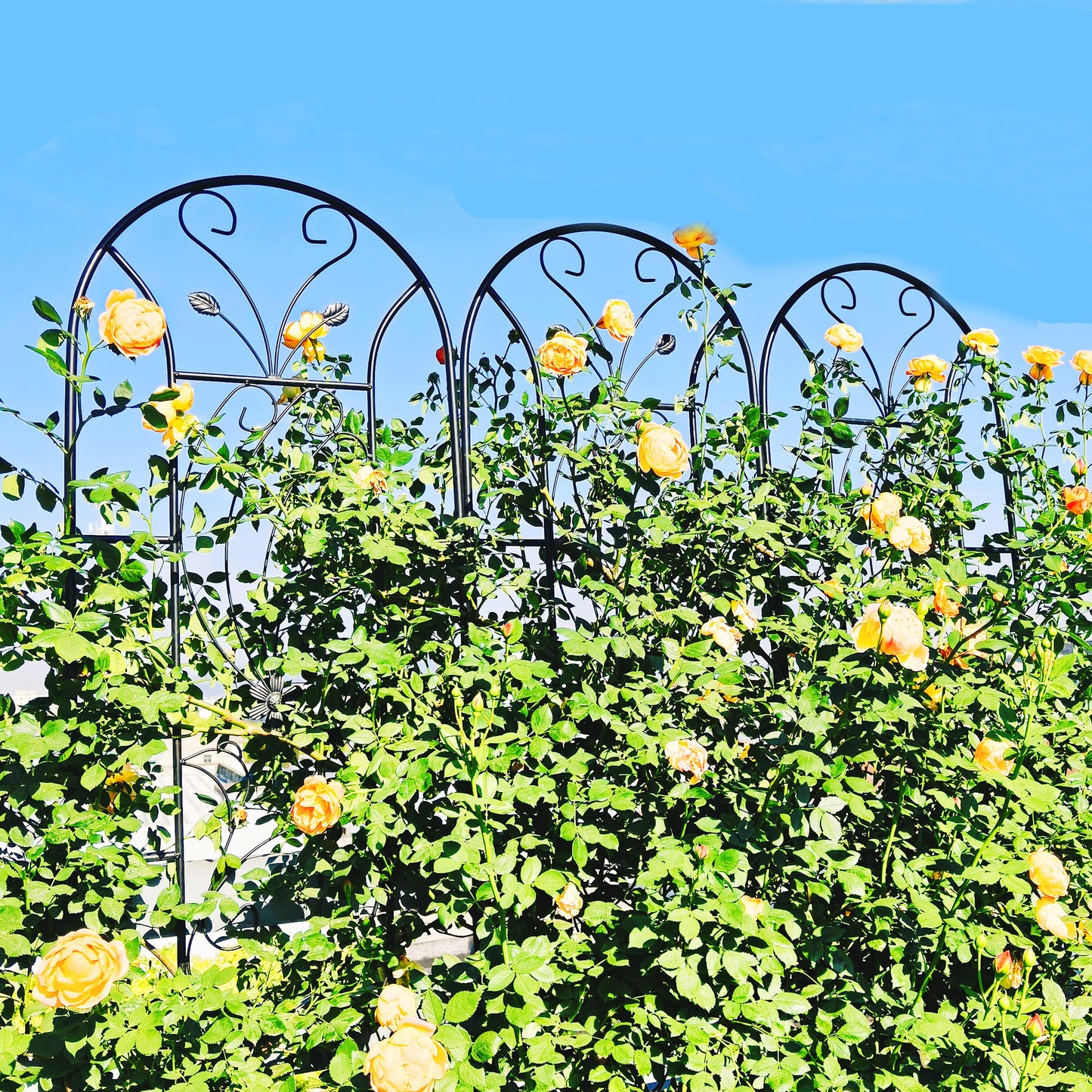 4 Pack Metal Garden Trellis 86.7" x 19.7" Rustproof Trellis for Climbing Plants Outdoor Flower Support Peacock Style Black image 2