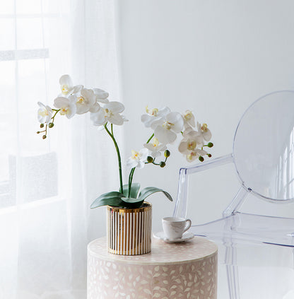 9.5x6x20.5"H Artificial White Orchid in Gold Striped Pot image 7