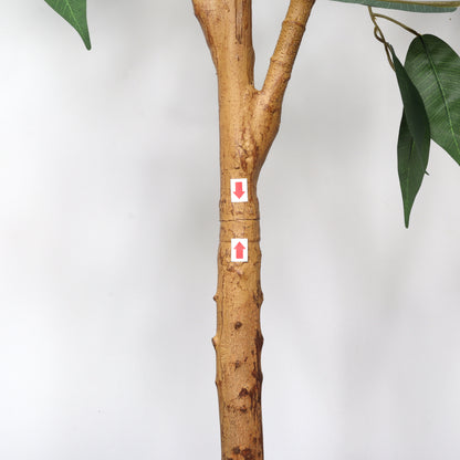 6FT Artificial Ficus Tree with Natural Trunk in Black Plastic Pot for Indoor Home Office Decor, 1pc/set image 12