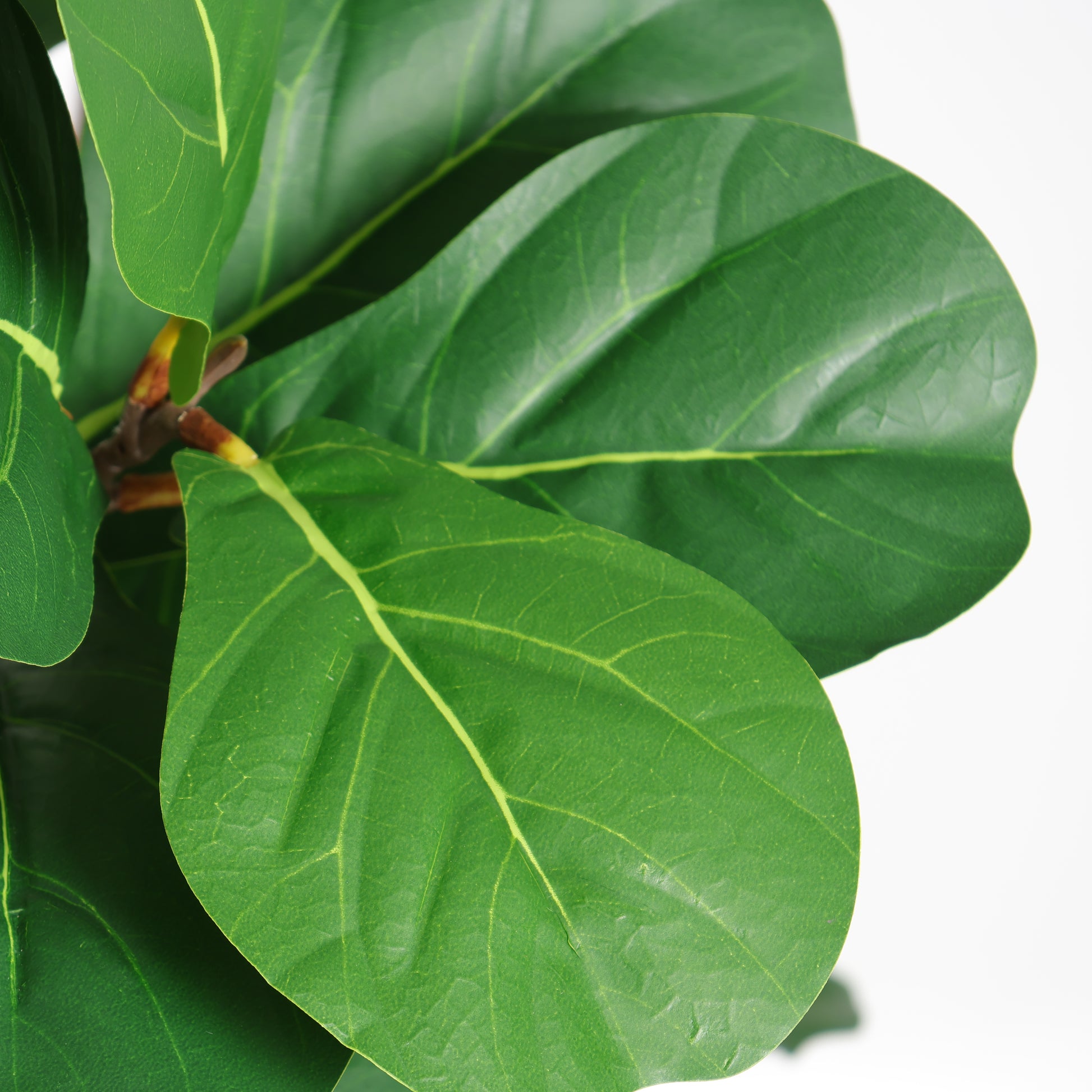6FT Artificial Fiddle Leaf Fig Tree, Realistic Faux Potted Plant in Black Pot, 1pc/set image 11
