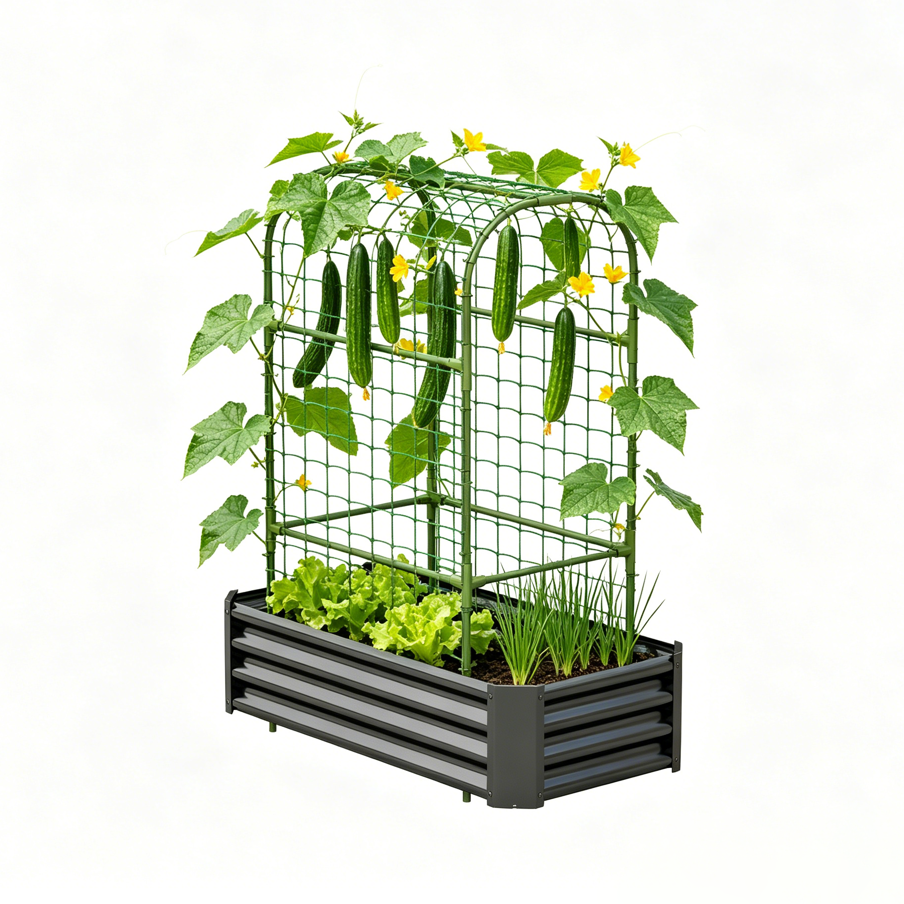 2-in-1 Raised Garden Bed with Trellis - 59" Tall Arch Planter Box for Climbing Plants, Outdoor Galvanized Metal Gardening Bed for Vegetables, Fruits, Flowers (Black, 4x2x1 Ft) image 9