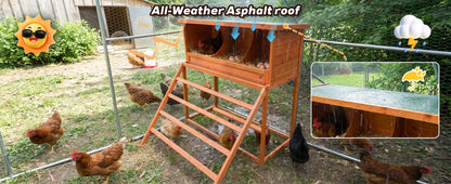 3-in-1 Nesting Boxes for Chickens with Perch and Swing- Wooden Chicken Nesting Box for Poultry 3 Compartments Laying Eggs Nest Box for Chickens, Hens, Ducks image 9