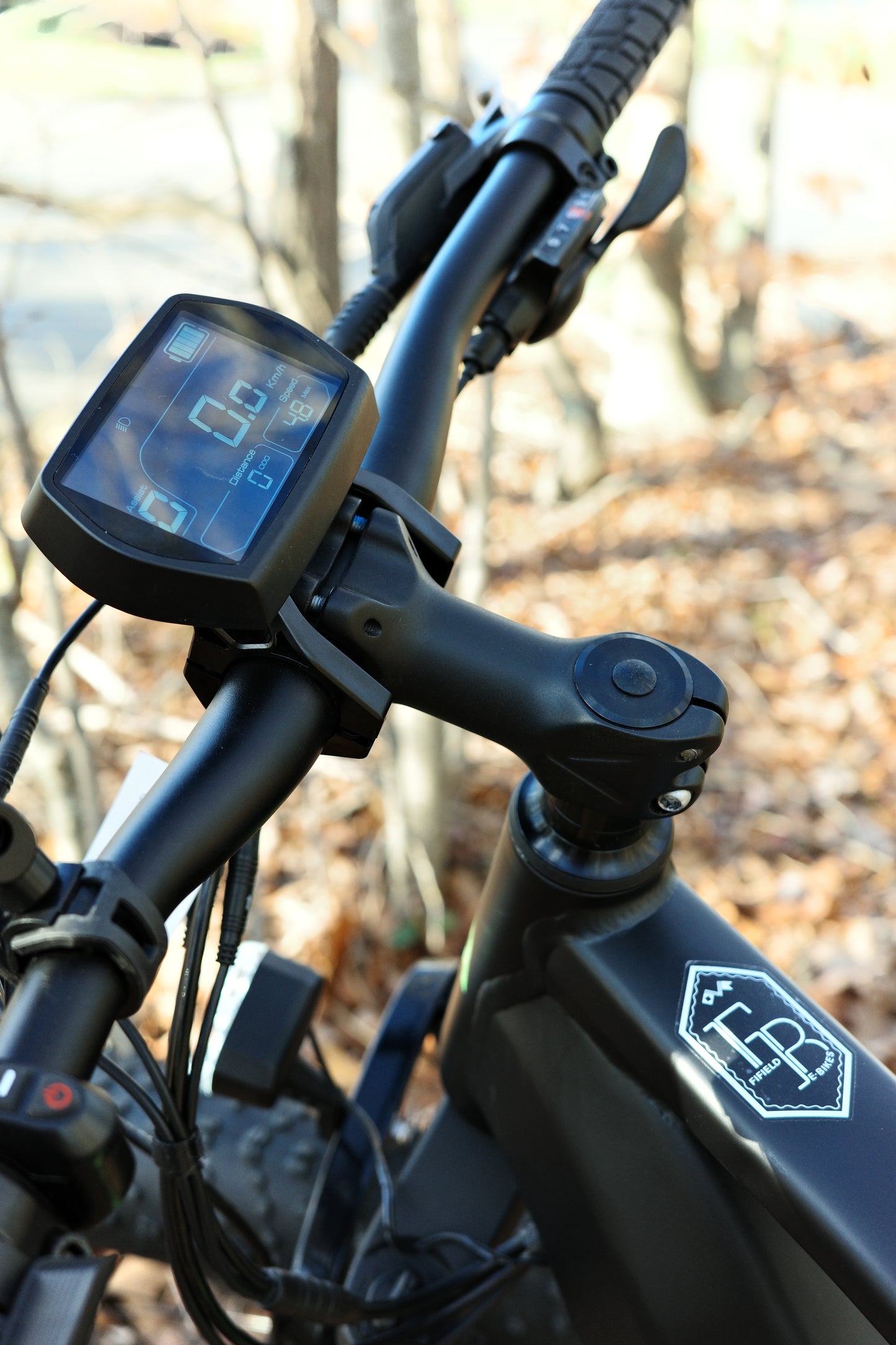 Fat hs-fat tire ebike image 4