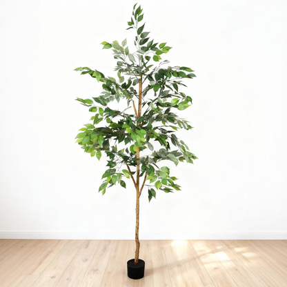 6FT Artificial Ficus Tree with Natural Trunk in Black Plastic Pot for Indoor Home Office Decor, 1pc/set image 5