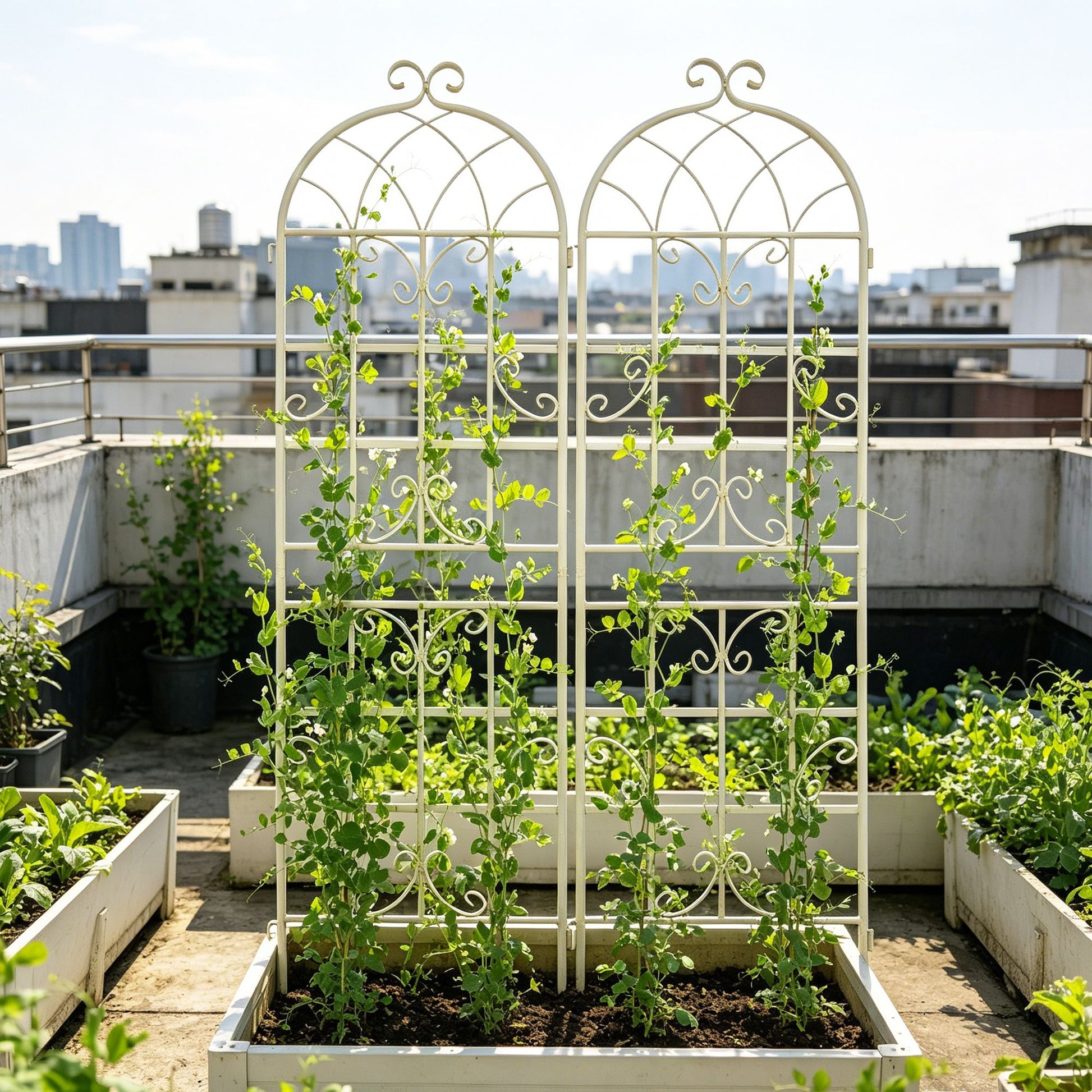 2 Pack Metal Garden Trellis 71" x 19.7" Rustproof Trellis for Climbing Plants Outdoor Flower Support Cream White image 6