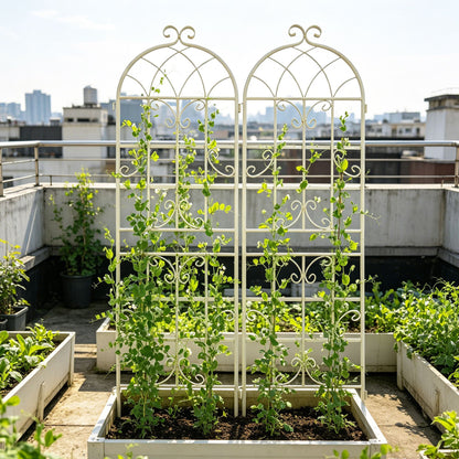 2 Pack Metal Garden Trellis 71" x 19.7" Rustproof Trellis for Climbing Plants Outdoor Flower Support Cream White image 6