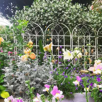 2 Pack Metal Garden Trellis 71" x 19.7" Rustproof Trellis for Climbing Plants Outdoor Flower Support Cream White image 8