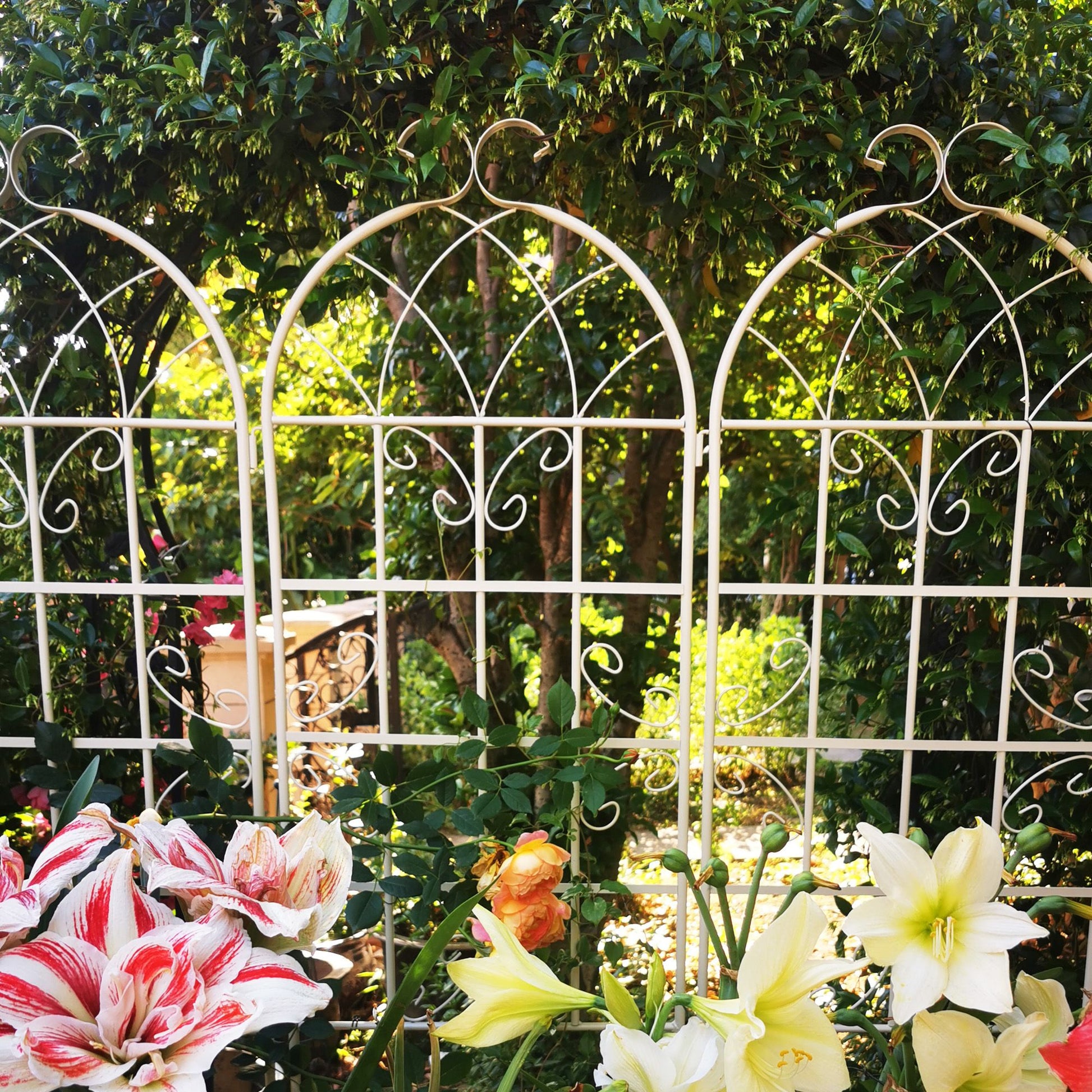 2 Pack Metal Garden Trellis 71" x 19.7" Rustproof Trellis for Climbing Plants Outdoor Flower Support Cream White image 14