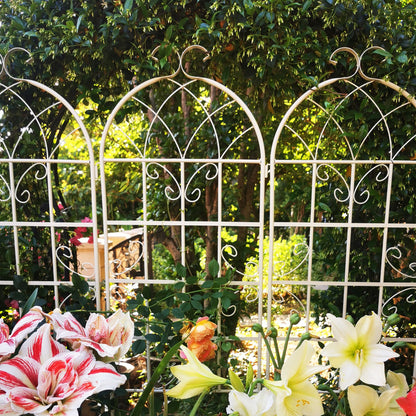 2 Pack Metal Garden Trellis 71" x 19.7" Rustproof Trellis for Climbing Plants Outdoor Flower Support Cream White image 14