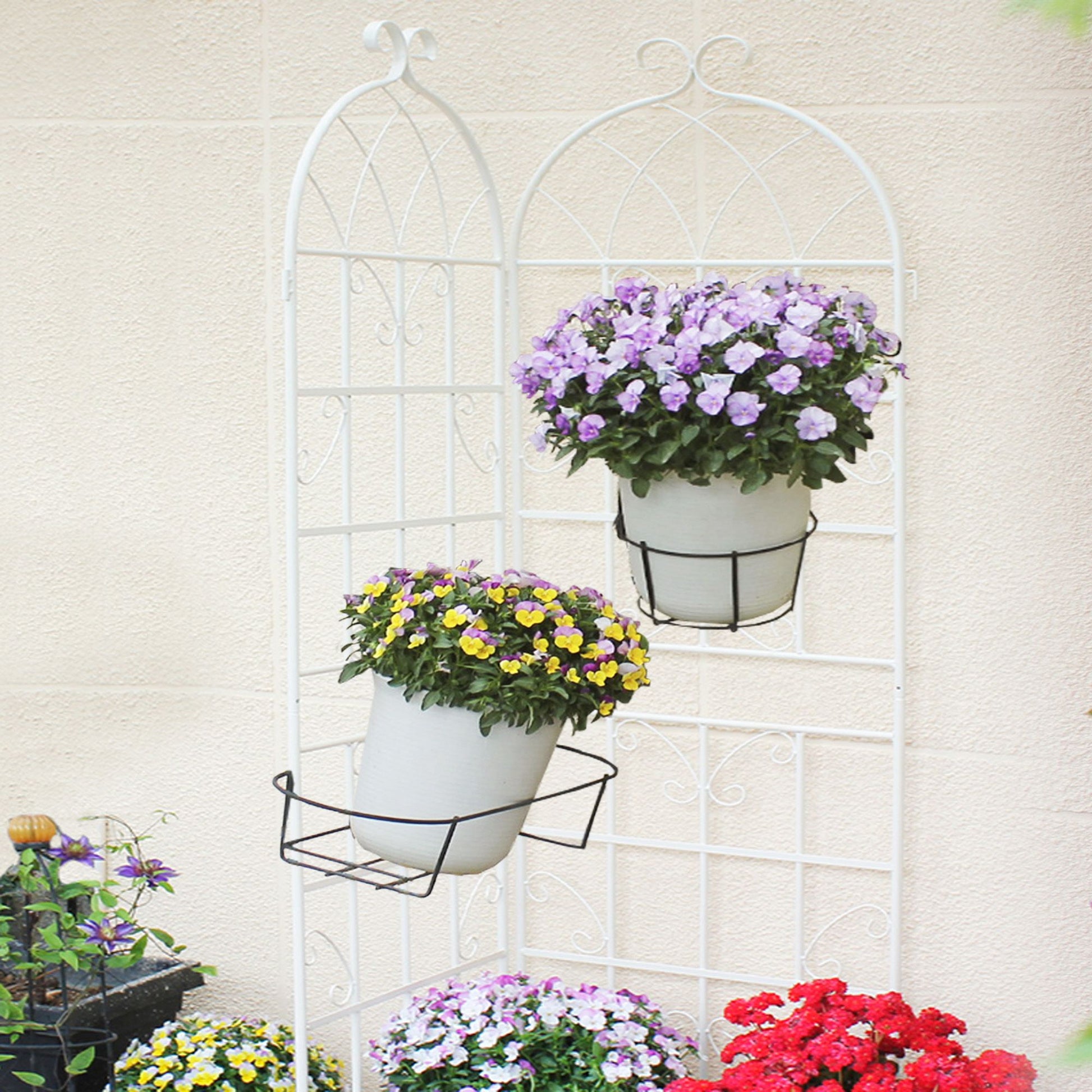 2 Pack Metal Garden Trellis 71" x 19.7" Rustproof Trellis for Climbing Plants Outdoor Flower Support Cream White image 9