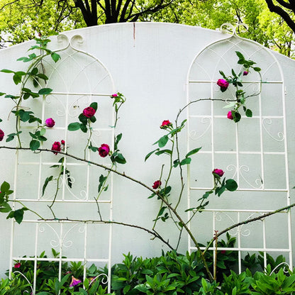 2 Pack Metal Garden Trellis 71" x 19.7" Rustproof Trellis for Climbing Plants Outdoor Flower Support Cream White image 12