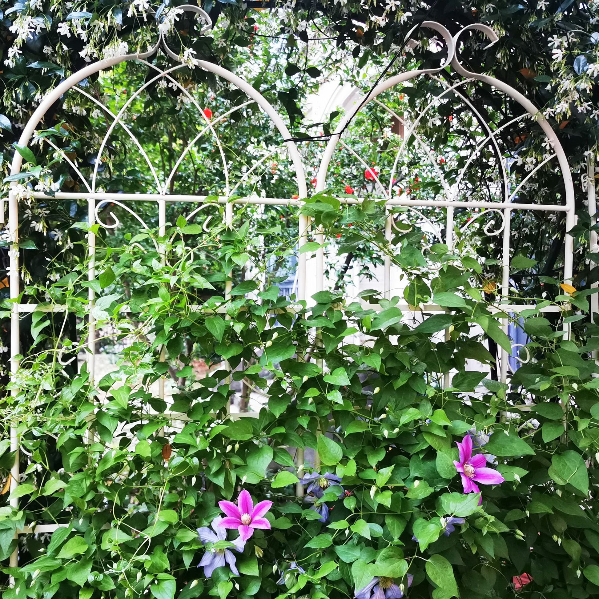 2 Pack Metal Garden Trellis 71" x 19.7" Rustproof Trellis for Climbing Plants Outdoor Flower Support Cream White image 7