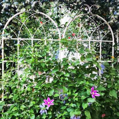 2 Pack Metal Garden Trellis 71" x 19.7" Rustproof Trellis for Climbing Plants Outdoor Flower Support Cream White image 7