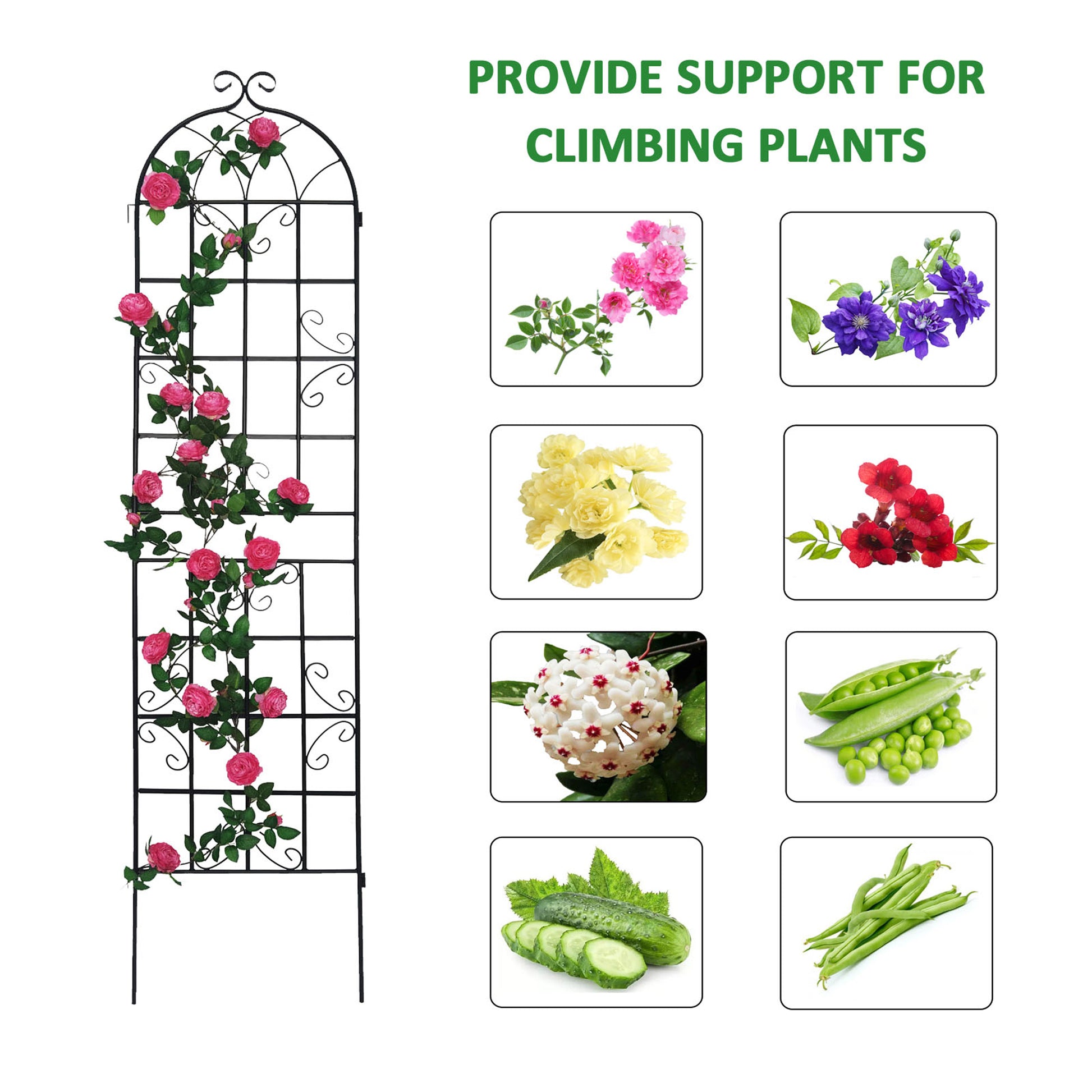 4 Pack Metal Garden Trellis 86.7" x 19.7" Rustproof Trellis for Climbing Plants Outdoor Flower Support Black image 7