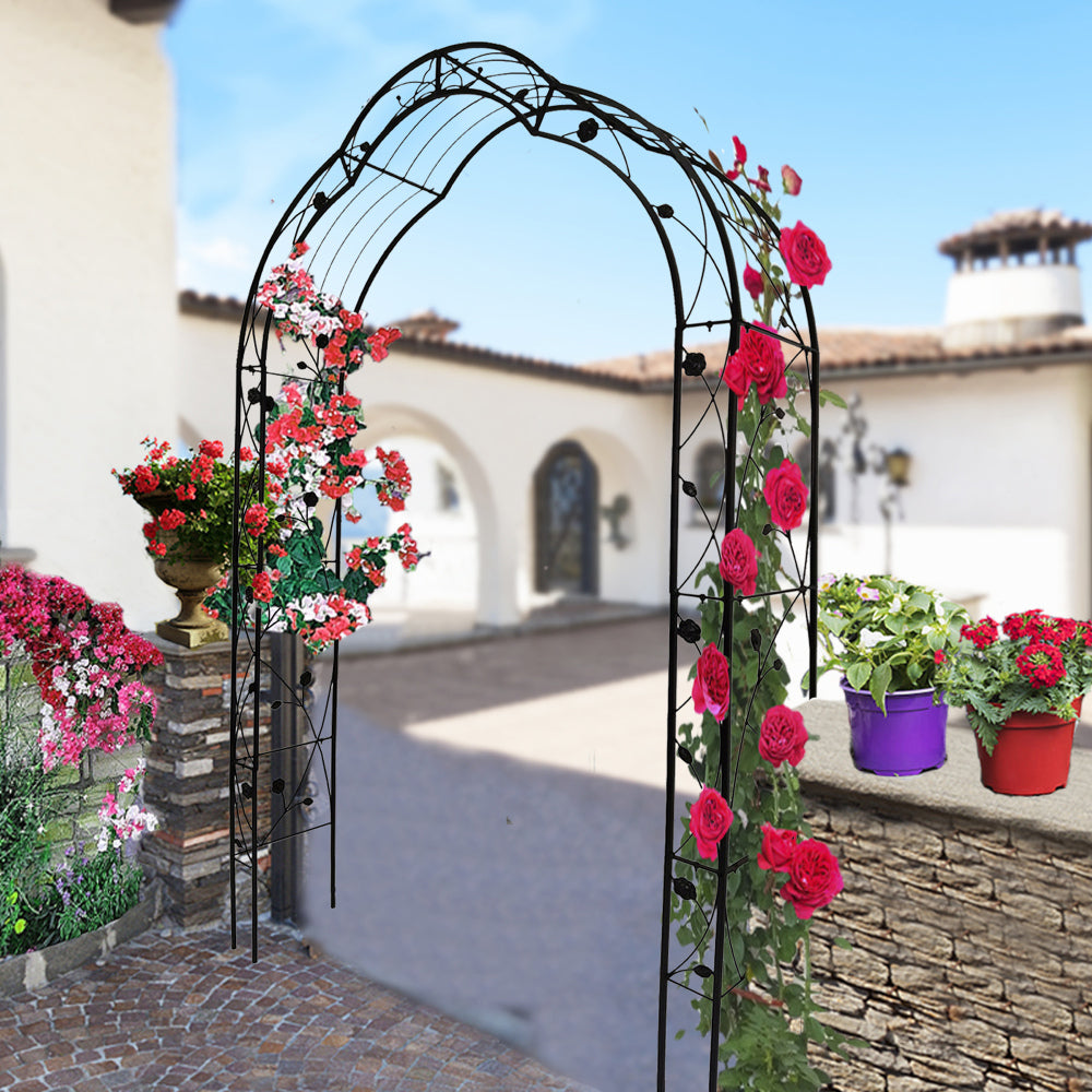 Metal Garden Arch W74.4'' x H98.4'' Garden Arbor Trellis Climbing Plants Support Rose Arch Outdoor Arch Cream White