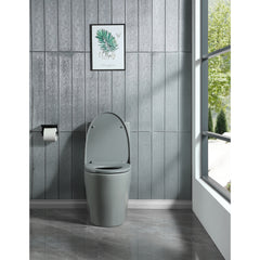 Soft-close Toilet Seat Only, 23T01-LGP01