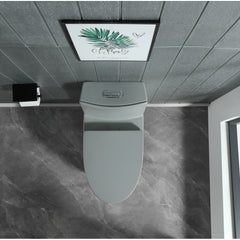 Soft-close Toilet Seat Only, 23T01-LGP01