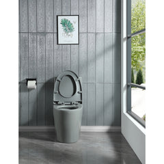 Soft-close Toilet Seat Only, 23T01-LGP01