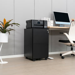 2 Drawer Mobile File Cabinet with Lock - Stylish Steel Storage