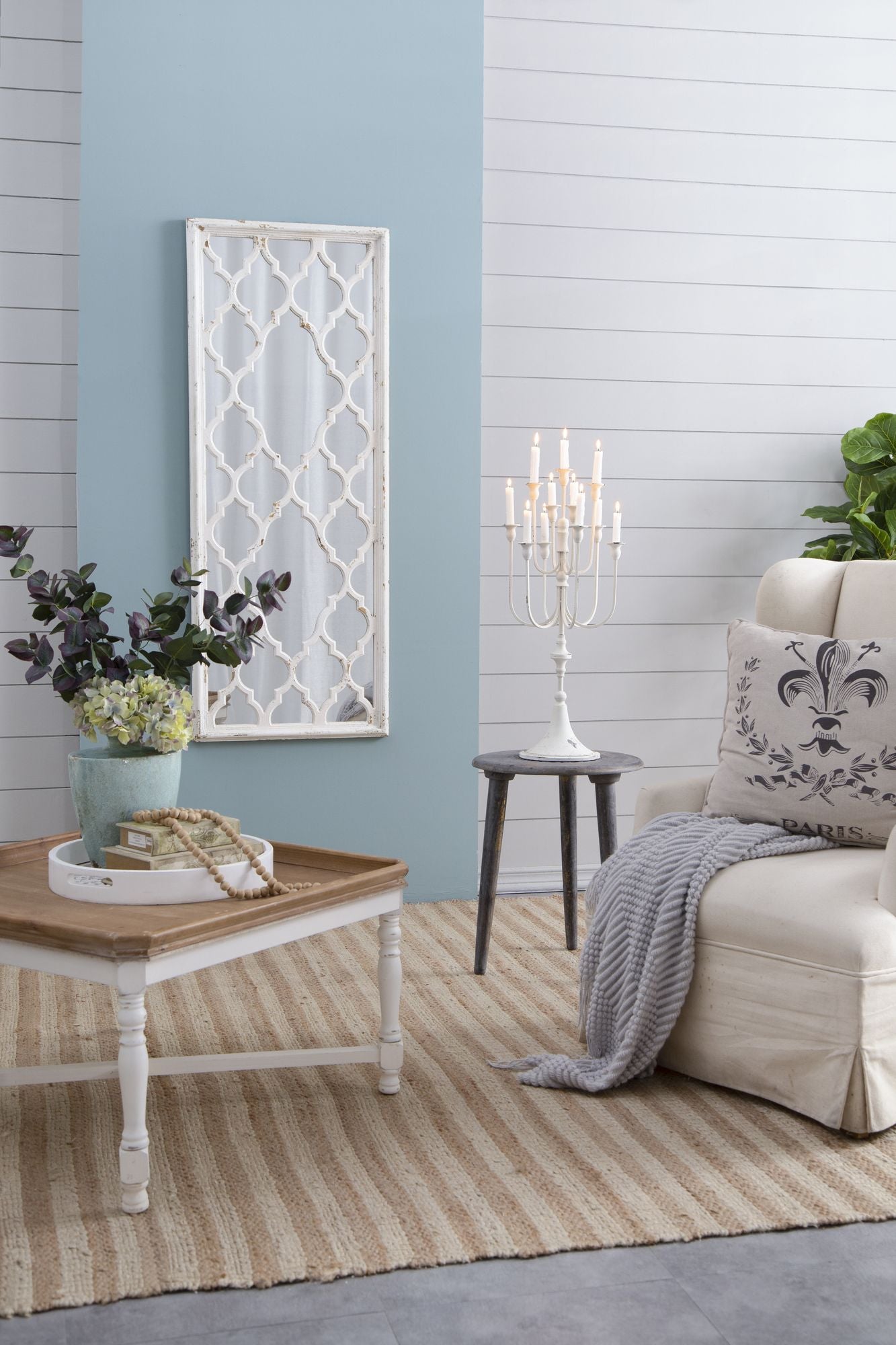 24" x 60" Distressed White Floor Mirror, Full Body Mirror for Bathroom Bedroom Living Room image 5
