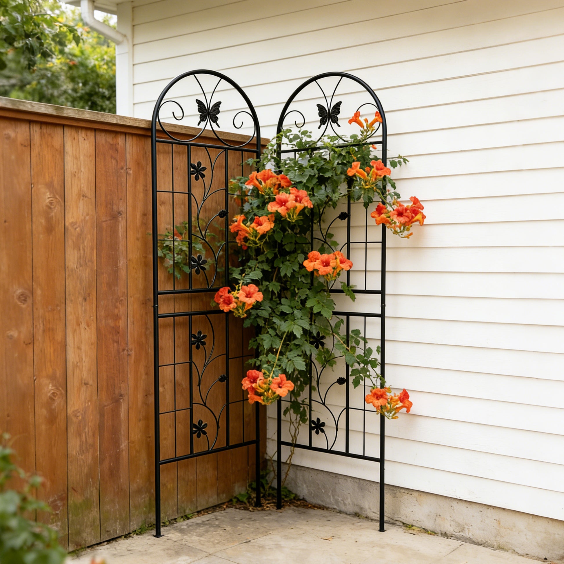 4 Pack Metal Garden Trellis 71" x 19.7" Rustproof Trellis for Climbing Plants Outdoor Flower Support Black image 7