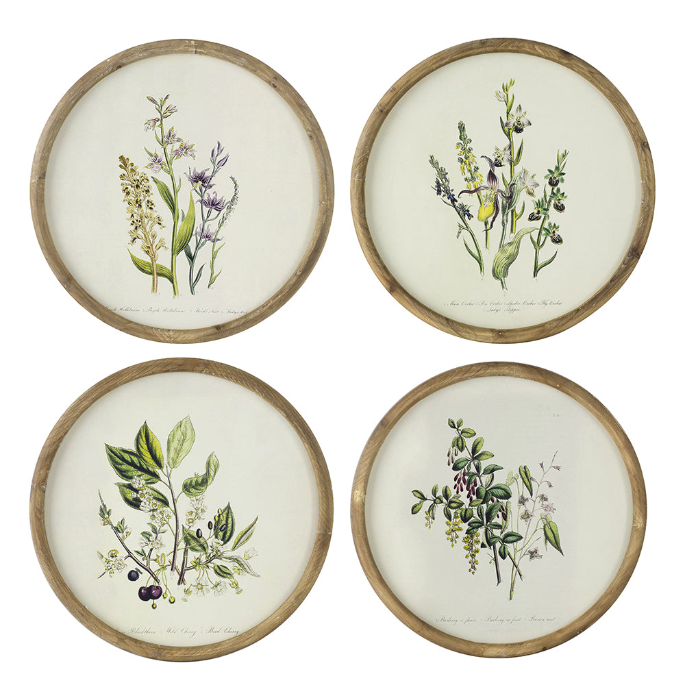S/4 D19.7" Flora Print Round Frame image 2