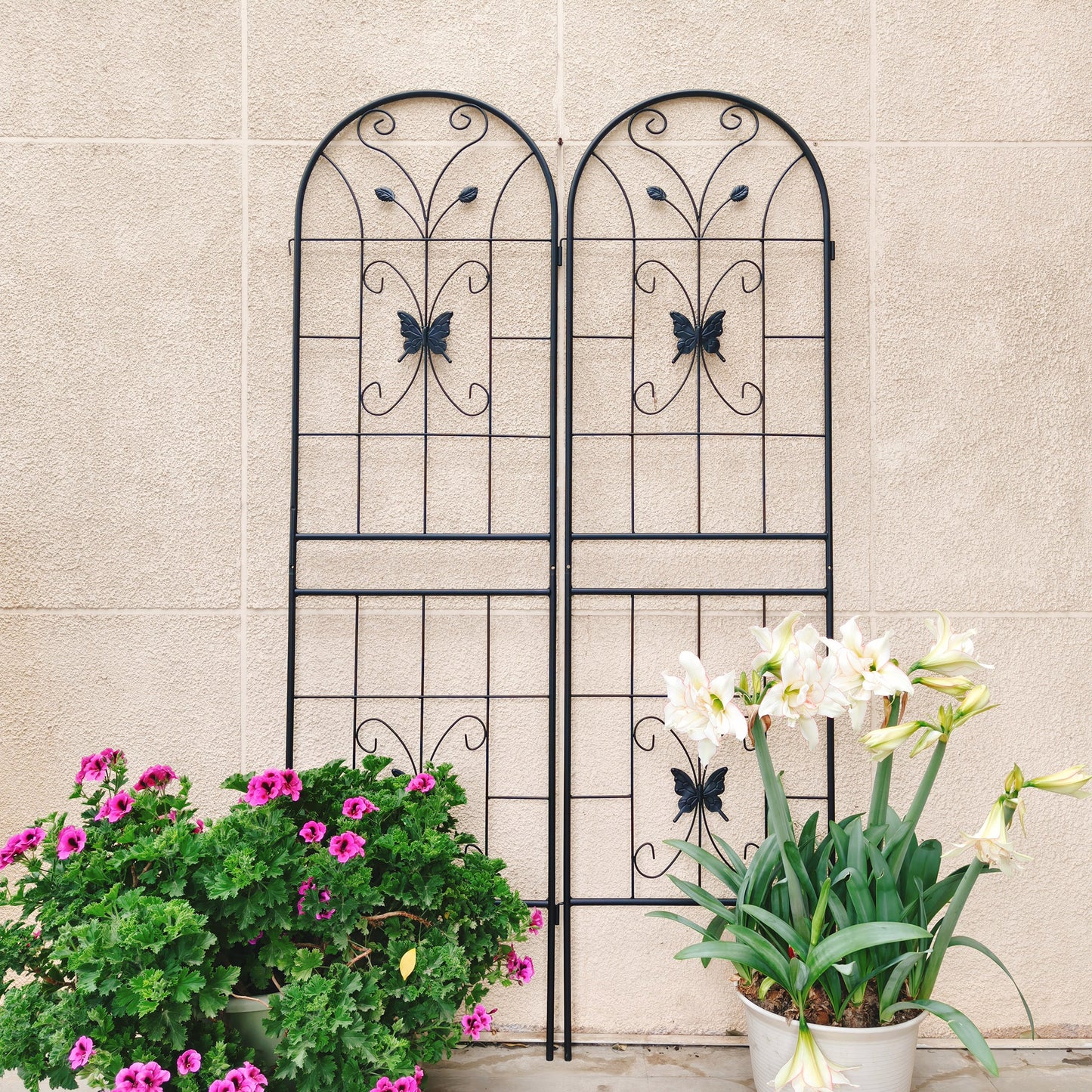 2 Pack Metal Garden Trellis 71" x 19.7" Rustproof Trellis for Climbing Plants Outdoor Flower Support Black image 2