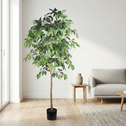 6FT Artificial Ficus Tree with Natural Trunk in Black Plastic Pot for Indoor Home Office Decor, 1pc/set image 1