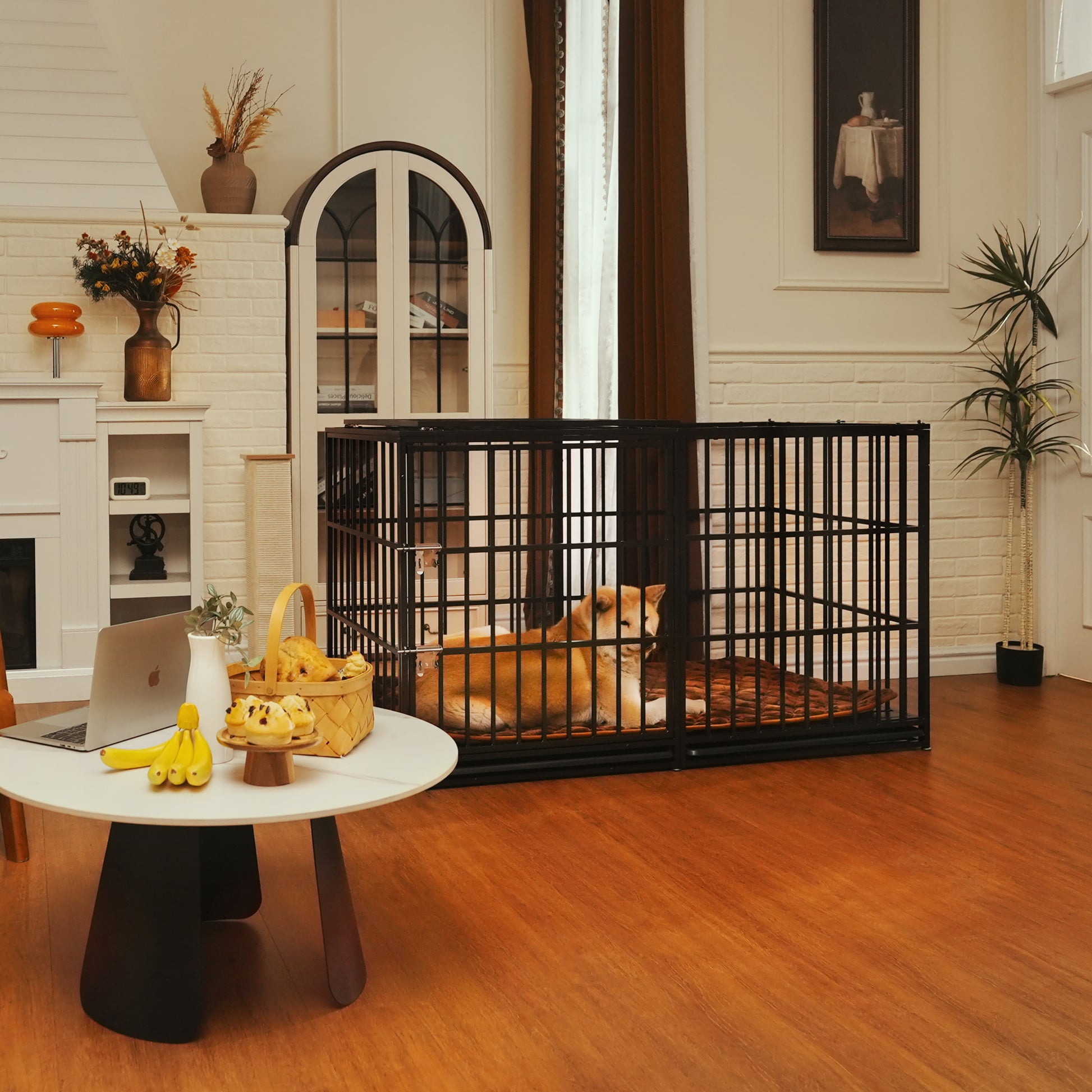 61" Extra Large Heavy Duty Dog Crate Dog cage Strong Metal Dog Kennels and Pens Crates for Large Dogs image 5