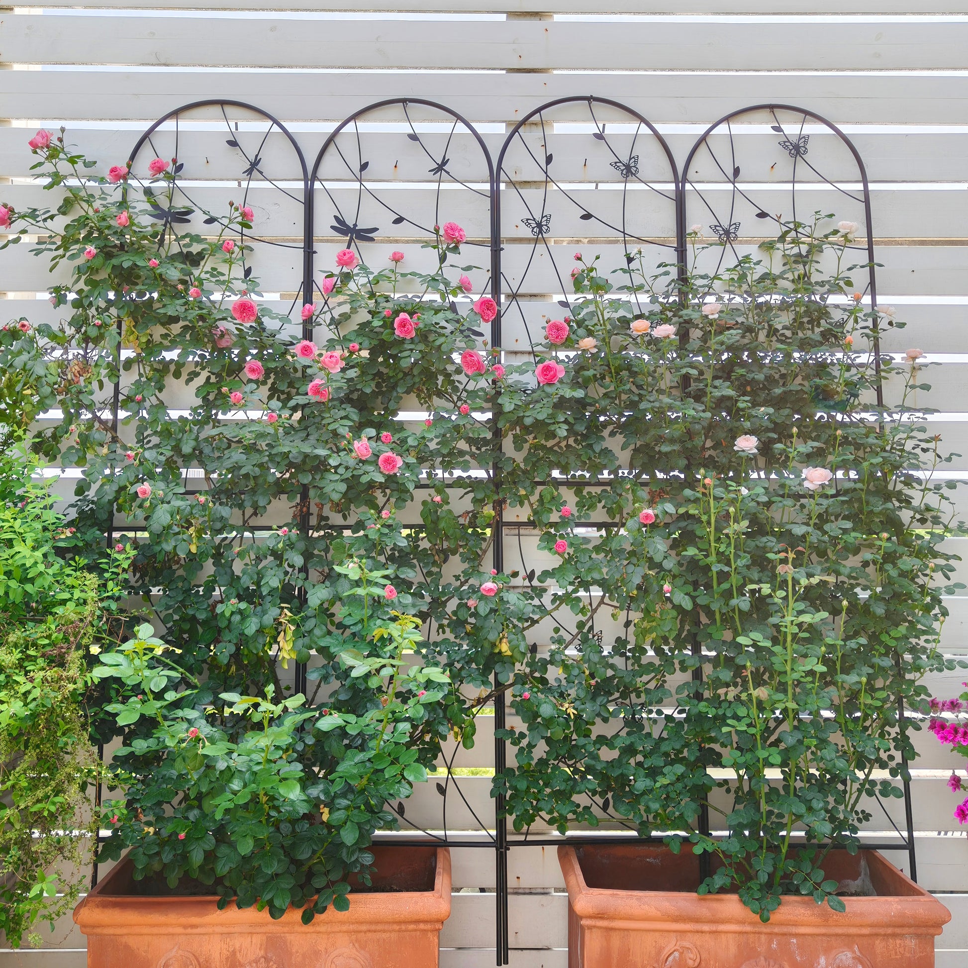 2 Pack Metal Garden Trellis 86.7" x 19.7" Rustproof Trellis for Climbing Plants Outdoor Flower Support Dragonfly Deco Black image 2