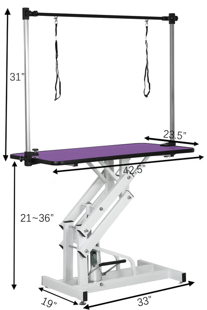 42.5INCH HYDRAULIC PET GROOMING TABLE WITH "H" ARM PURPLE image 2