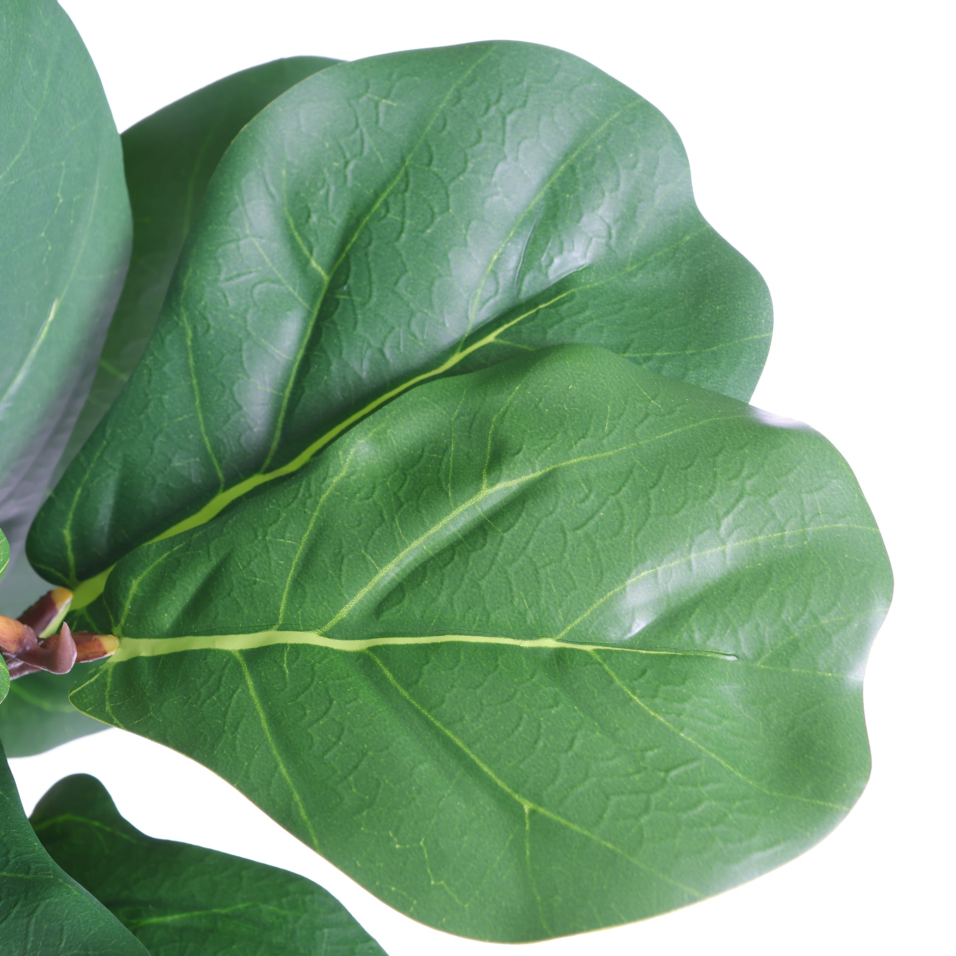 6FT Artificial Fiddle Leaf Fig Tree With Decorative White Pot, Faux Indoor Plant for Home Office Living Room Corner Decoration, 1pc/set image 9