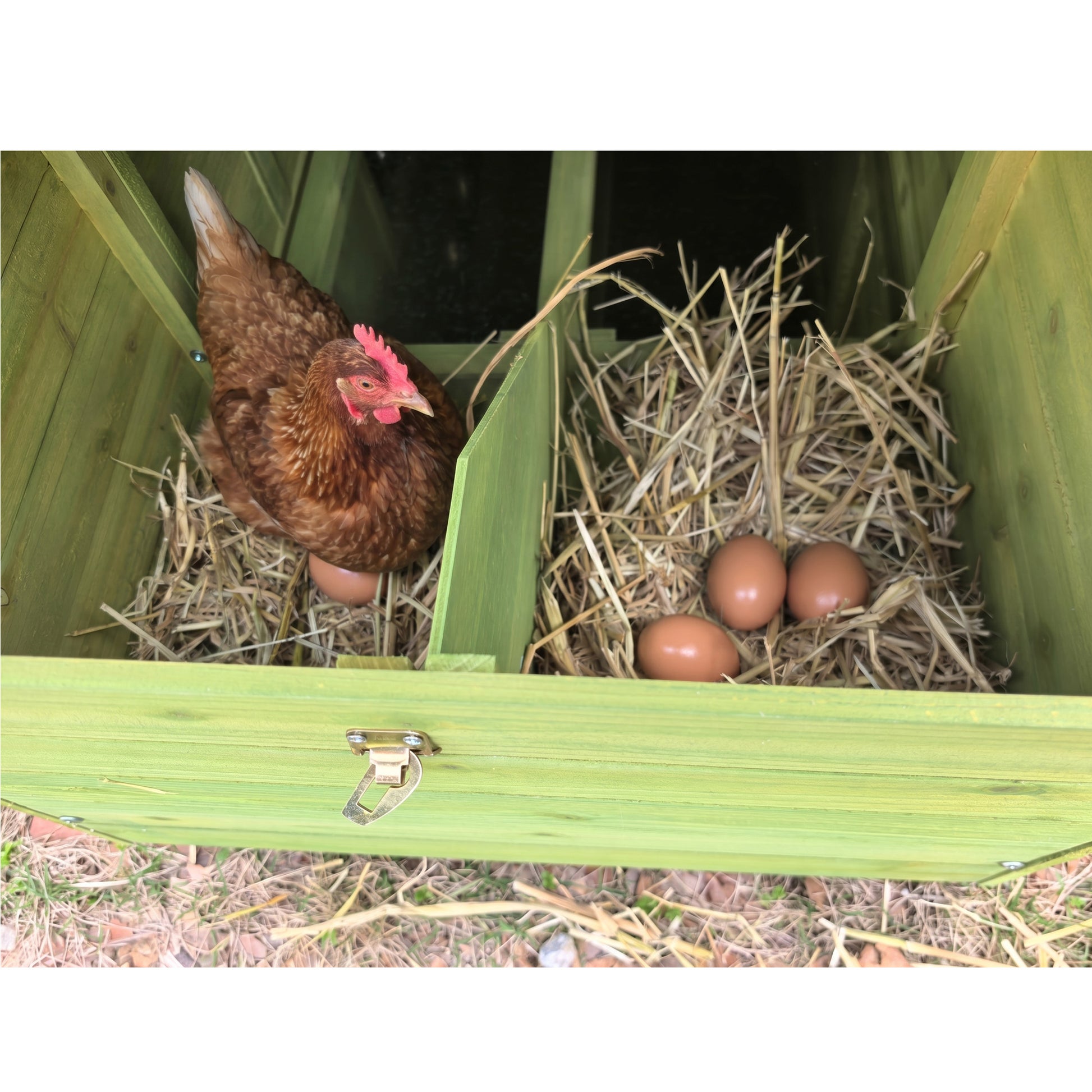 70" Automatic Chicken Coop with Solar-Powered Door, Weatherproof Design, Ventilated, with 2 Nesting Boxes, Timer & Light Sensor – Outdoor Chicken House with Pull-Out Tray and a remote. image 10