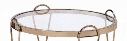 Zekera Mirrored & Champagne Finish End Table image 4