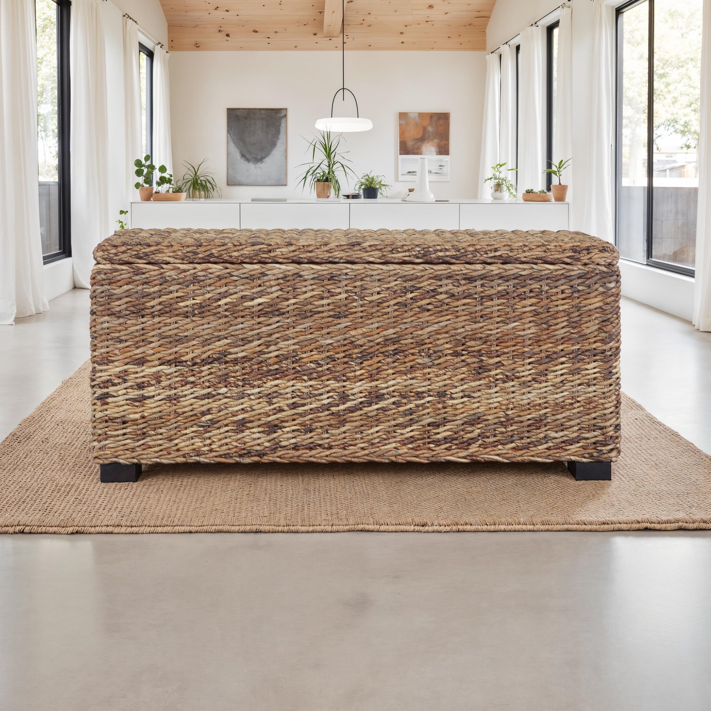 Rattan Wicker Woven Banana Leaf Storage Indoor living Trunk image 1