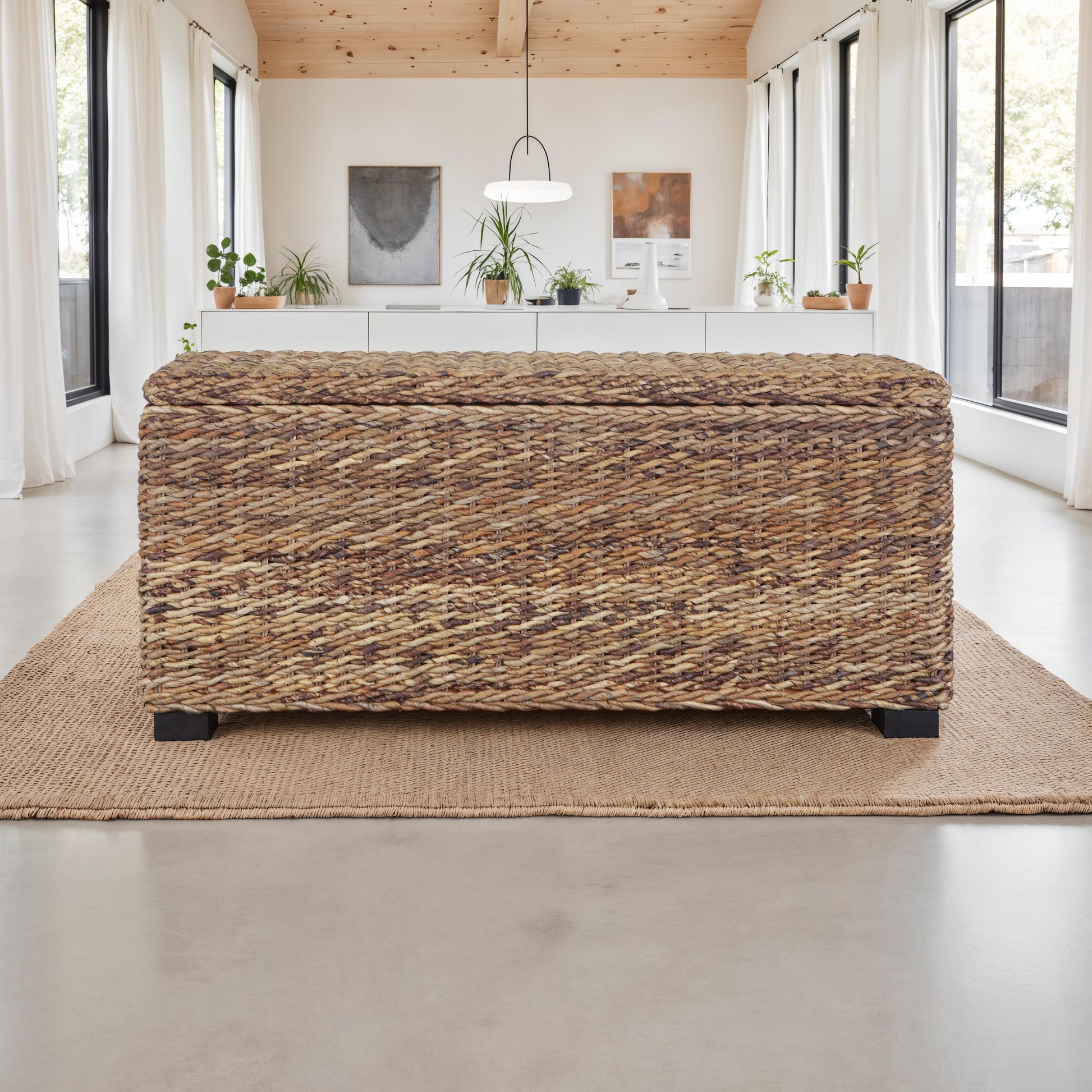 Rattan Wicker Woven Banana Leaf Storage Indoor living Trunk image 1