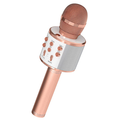 5 Core Microphone Wireless Karaoke Mic With Speaker 3 in 1 Portable Bluetooth Microfono Inalambrico image 1