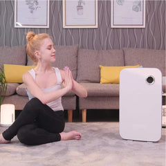 Large Room Air Purifier Cleaner H13 True HEPA Filter 24db Quiet Reminder & Timer